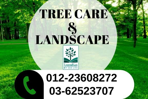 TREE CARE AND LANDSCAPE