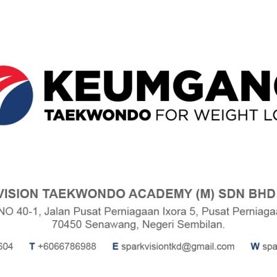 Spark Vision Taekwondo