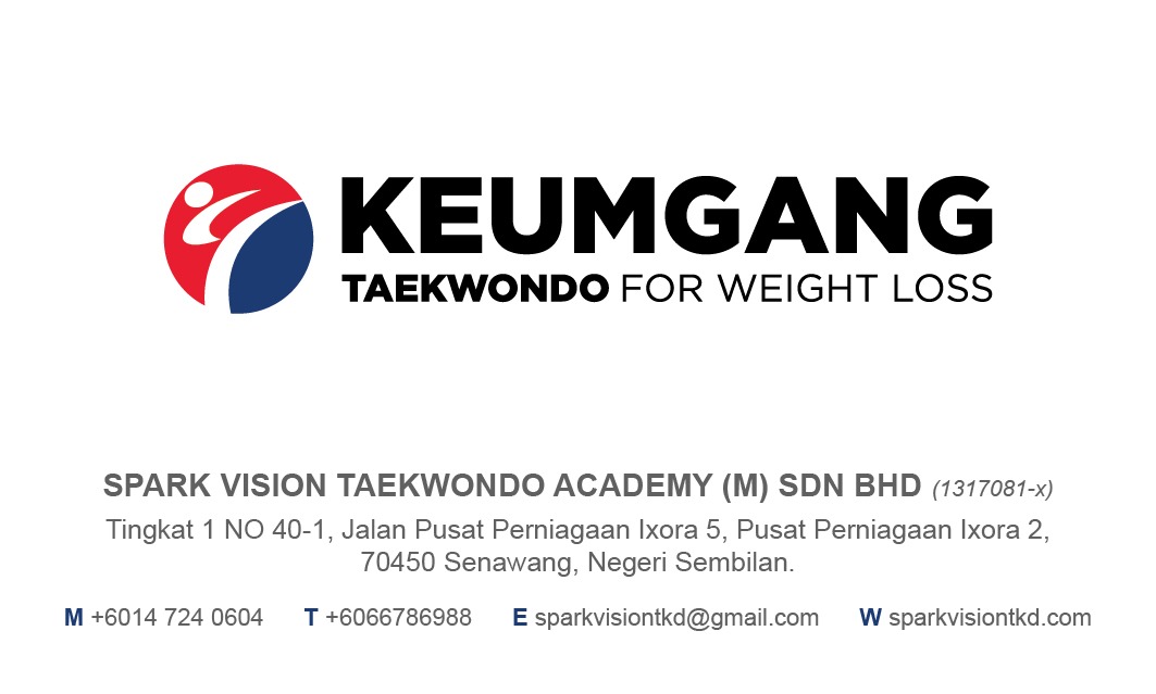 Spark Vision Taekwondo